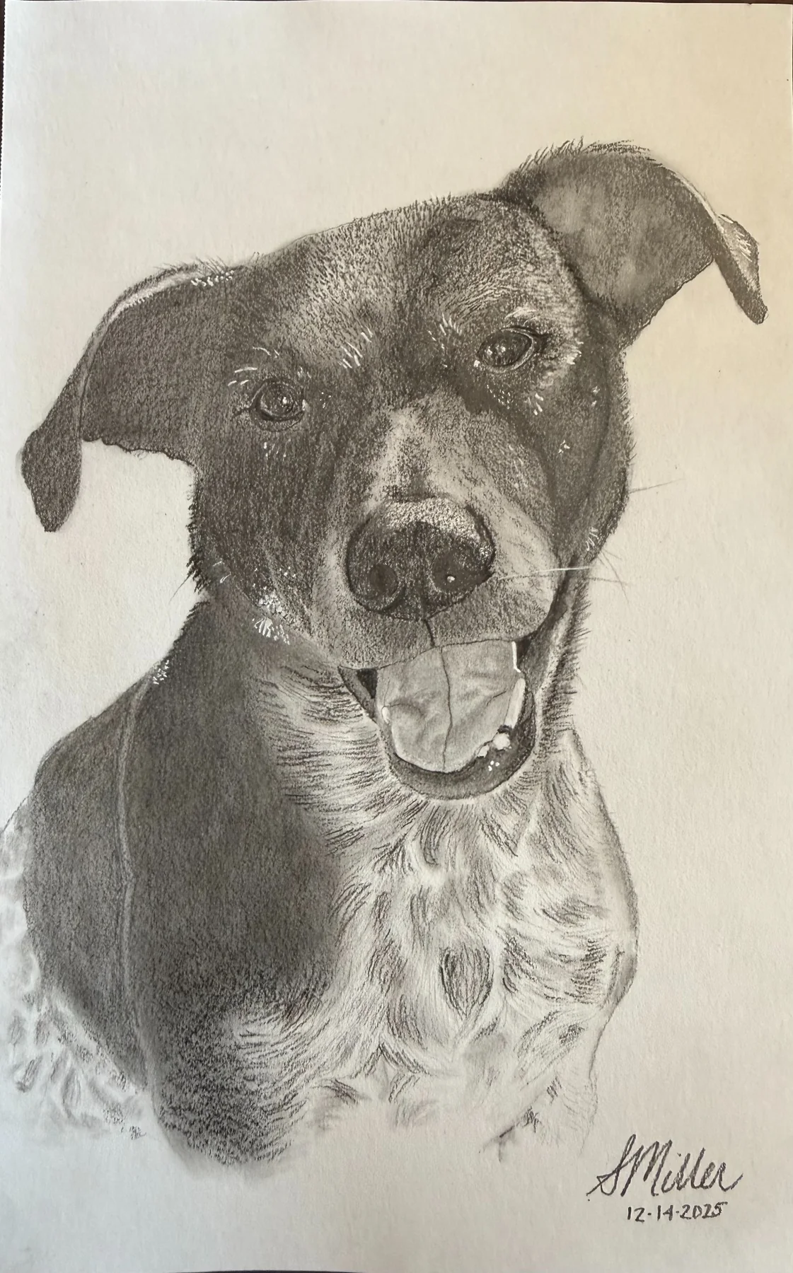 Graphite portrait of Bandit