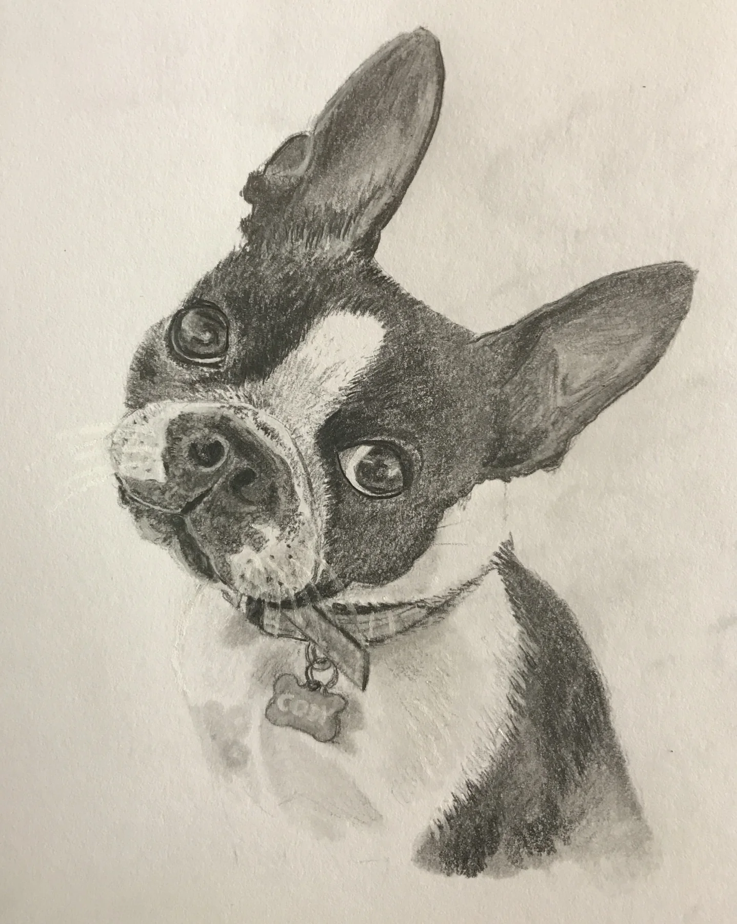 Graphite portrait of Cody