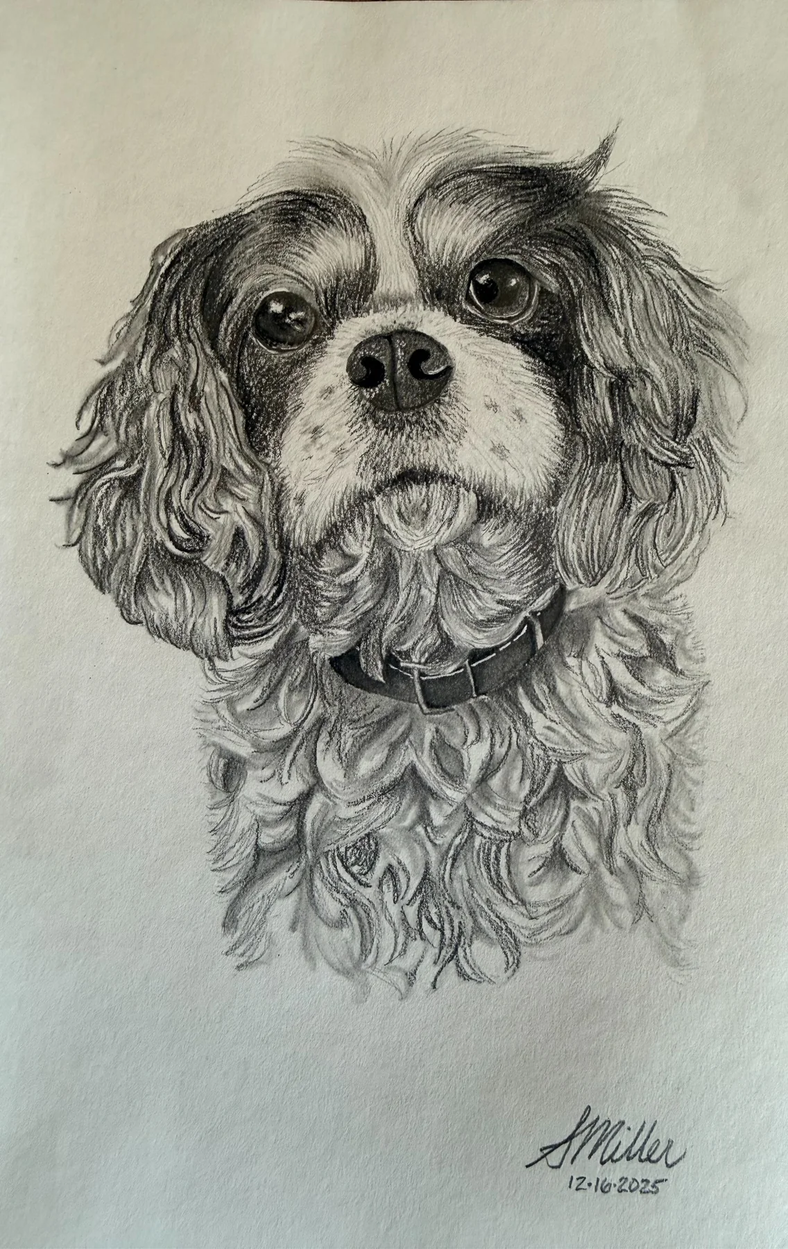 Graphite portrait of Gatsby