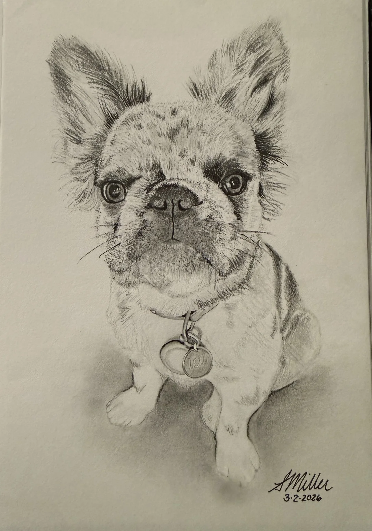 Graphite portrait of Lou