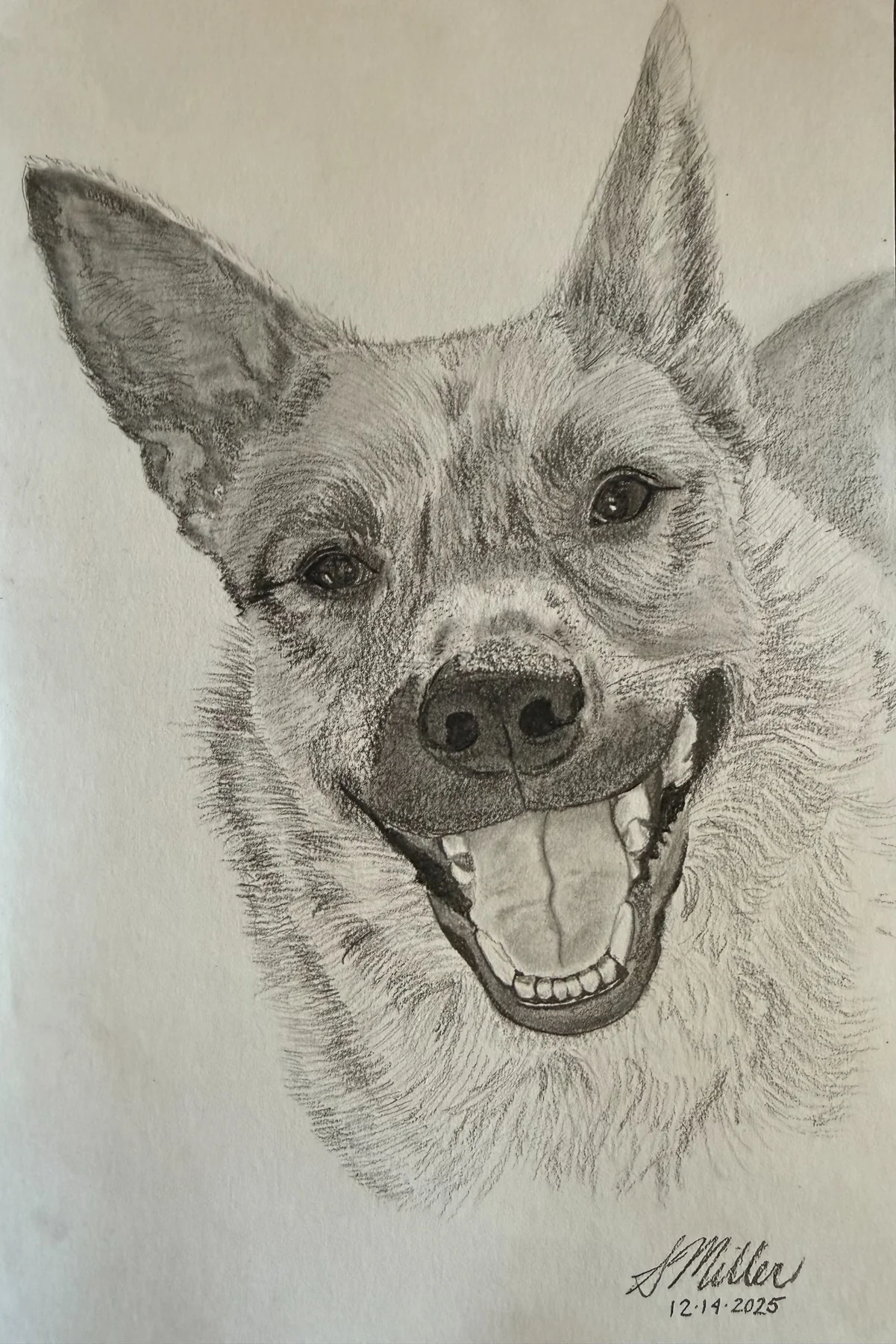 Graphite portrait of Nara