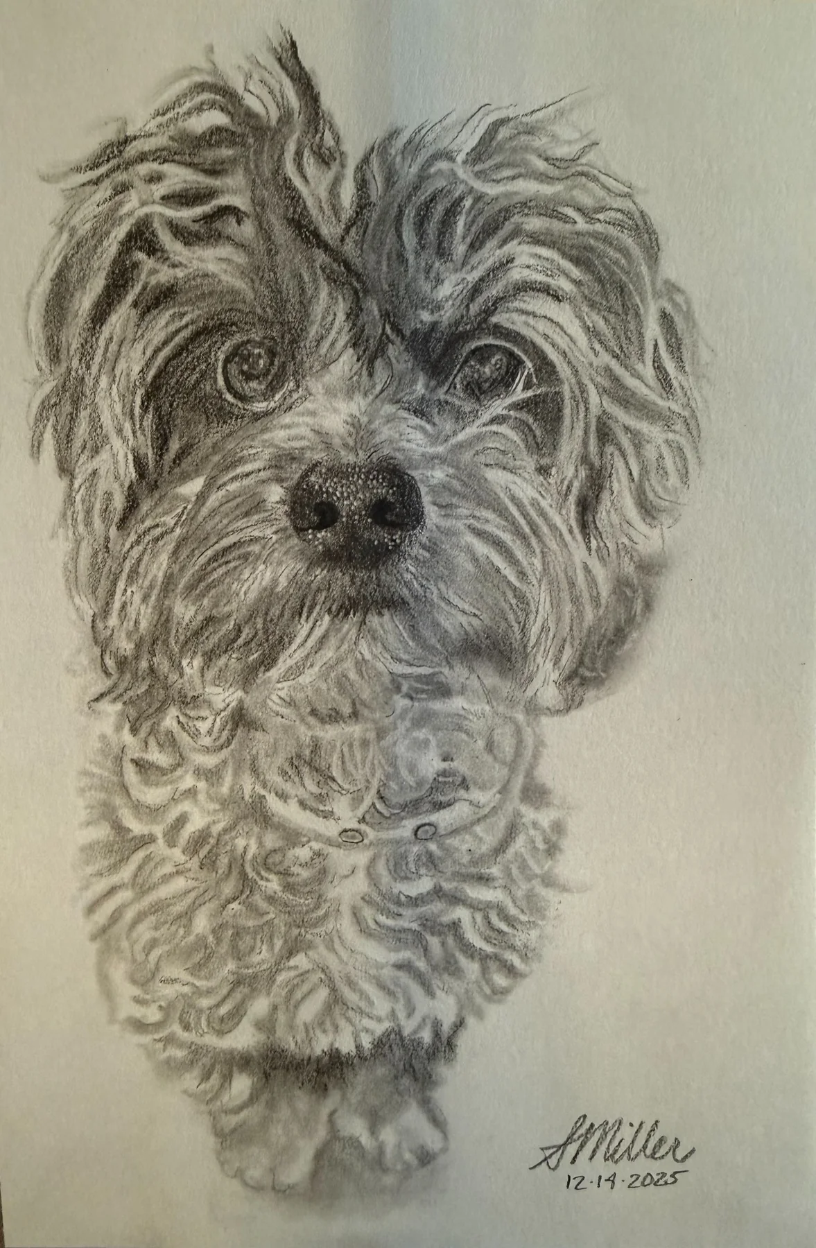 Graphite portrait of Peter