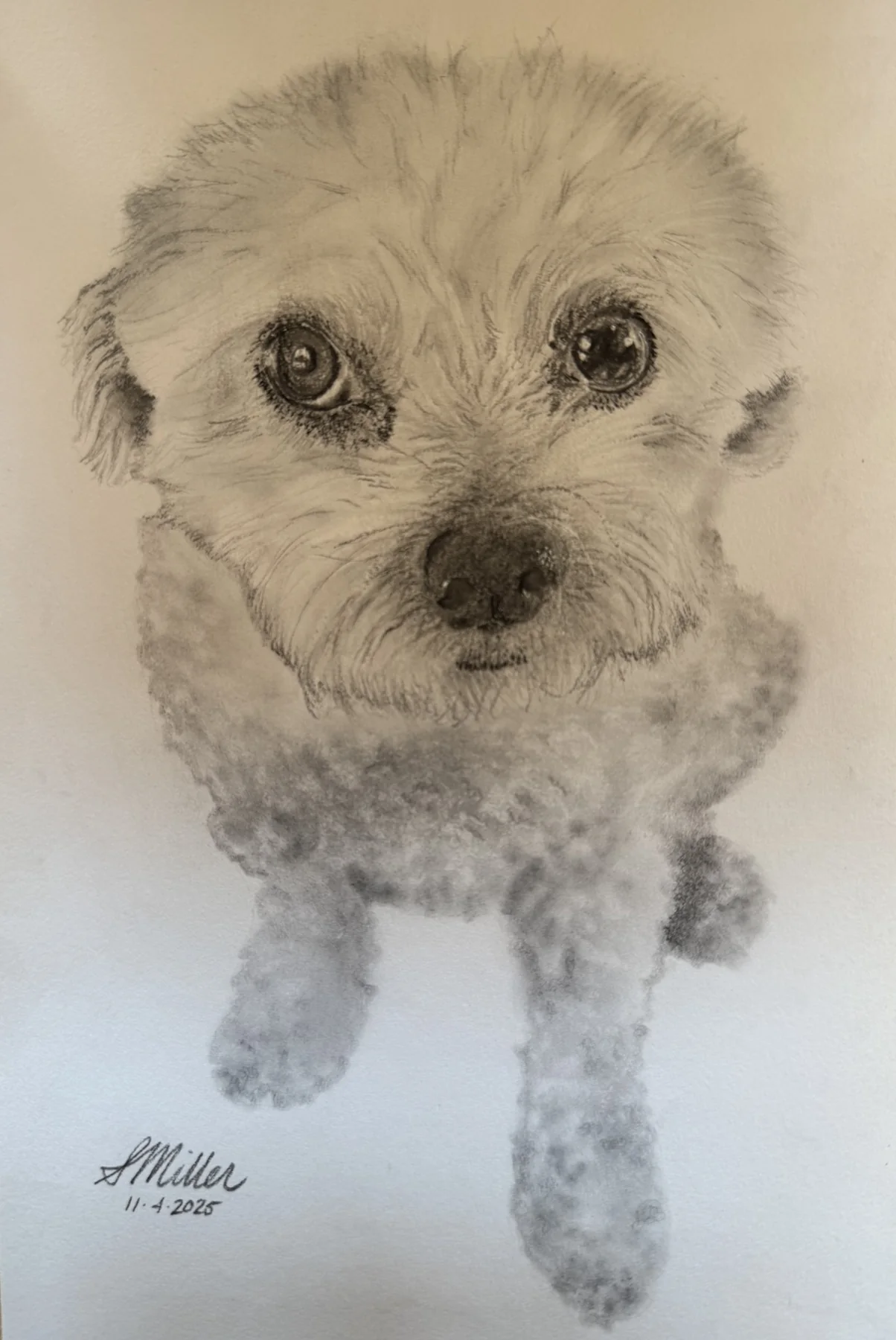 Graphite portrait of Stanley