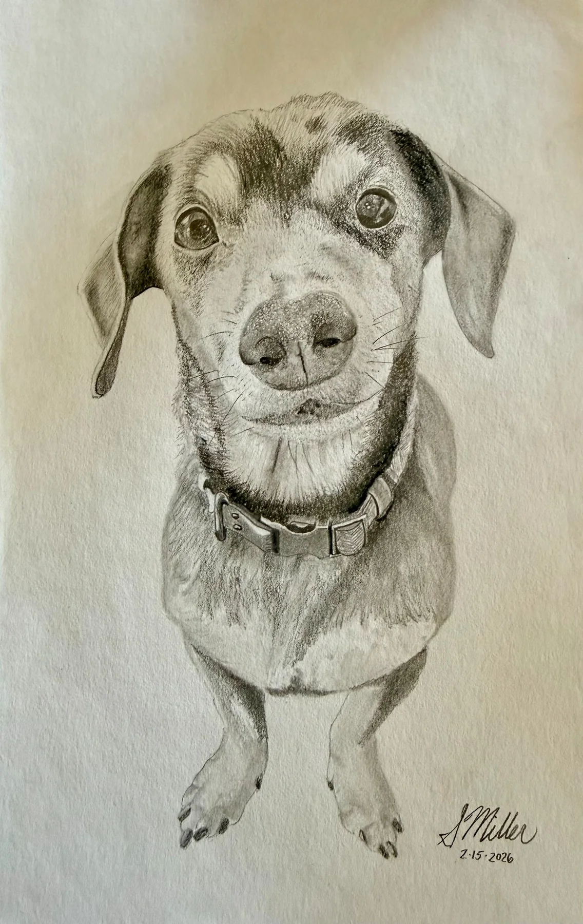 Graphite portrait of Zeus