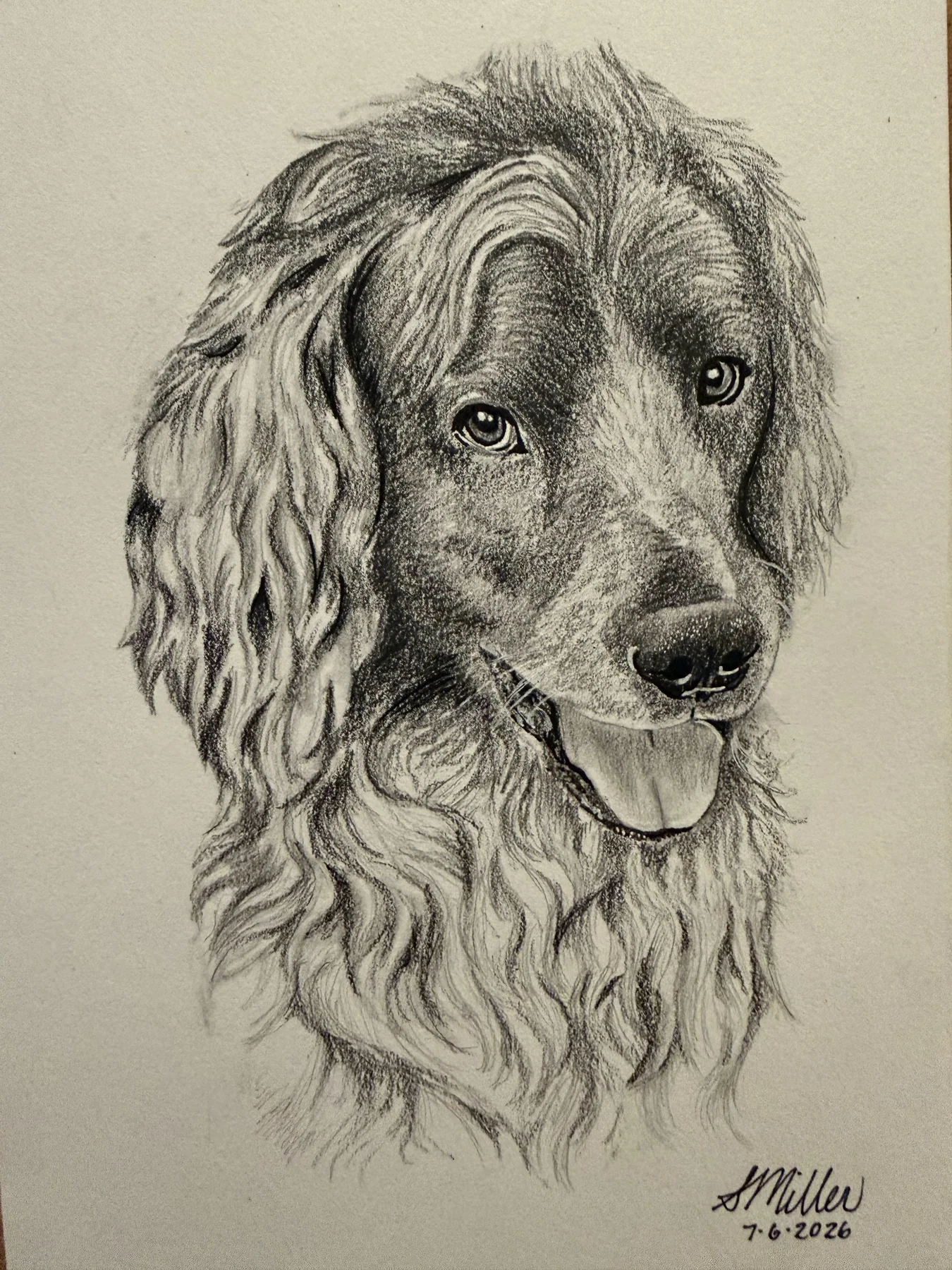 Graphite portrait of a dog